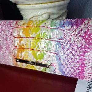 Brahmin Optimism Ombre Melbourne Ady Wallet